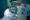 Ancilliary Services 6 kidney tranparent